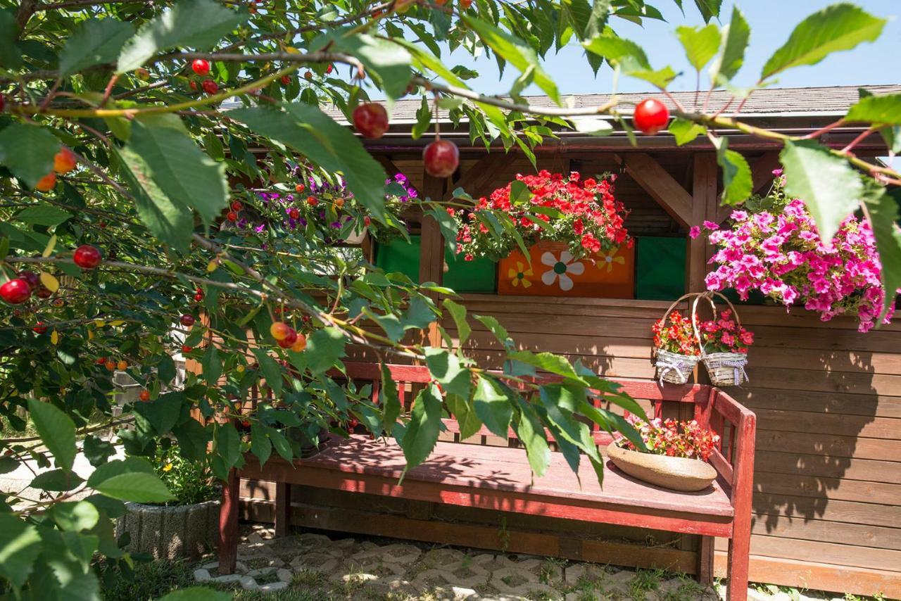 Privat Jonas Villa สตราบา ภายนอก รูปภาพ